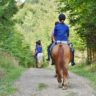 Comment devenir accompagnateur de tourisme équestre ?