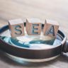 Les bases du référencement payant (SEA) : comment fonctionnent les annonces Google Ads ?